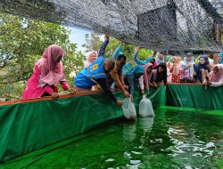 Srikandi PLN Wujudkan Kemandirian Desa Salo Timur 
