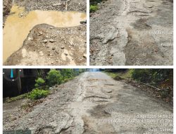 Progres Perbaikan Jalan Desa Koto Mesjid–Pulau Gadang Sepanjang 11 KM Masuk Perencanaan PUPR Riau, Tak Lepas dari Aspirasi Anggota DPRD Riau Eva Yuliana