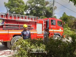 Kebakaran Lahan di Desa Salo, Api Cepat Membesar Diduga Akibat Keterlambatan Penanganan Damkar