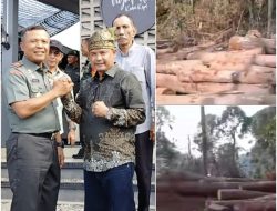 Ketua LBLK Kampar Dt. Eri Bakhri Desak Aparat Tangkap Perusak Hutan PLTA Koto Panjang 