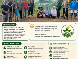 Dukung Swasempada Pangan, Bhabinkamtibmas Desa Pongkai Tanam Jagung Pipil Di Kuartal Kedua