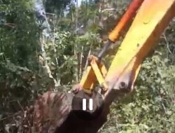 Dituding Babat Hutan Lindung, Musliadi “Amuk” Klarifikasi : Kami Garap Lahan HPL Milik Warga