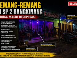 Masih Beroperasi Hingga Pagi Buta, Cafe Remang-remang di SP2 Bangkinang Diduga Tempat Esek-esek