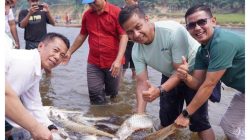 Hasil Tangkapan Jala Bupati di Sungai Subayang, Jaga Tradisi Kearifan  Lokal Bersama Ninik Mamak desa Tanjung Belit