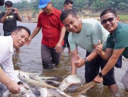 Hasil Tangkapan Jala Bupati di Sungai Subayang, Jaga Tradisi Kearifan  Lokal Bersama Ninik Mamak desa Tanjung Belit