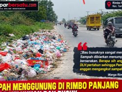 Sampah Menggunung di Rimbo Panjang, Warga Keluhkan Bau Busuk, Pemkab Kampar Disorot